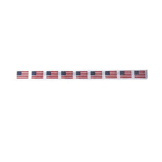 American Flag Belt