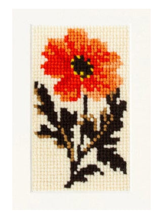 Dahlia Starter Kit