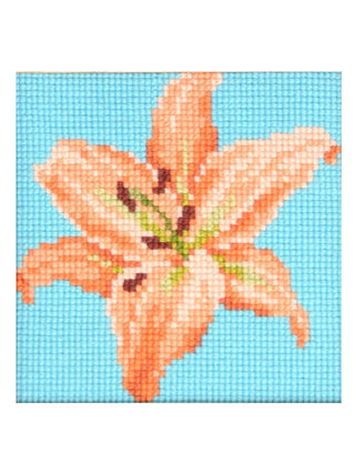 Lily Mini Kit