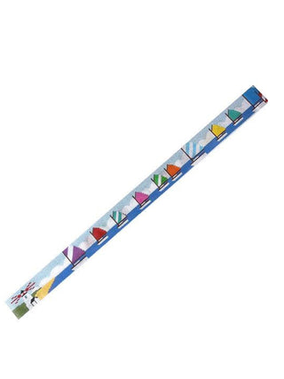 Rainbow Fleet Belt
