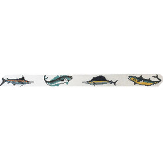 Saltwater Fish