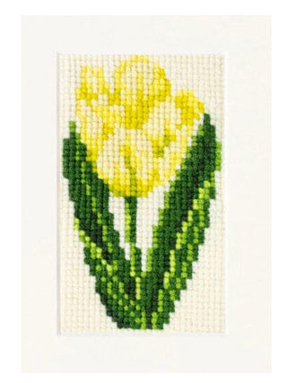 Tulip Starter Kit