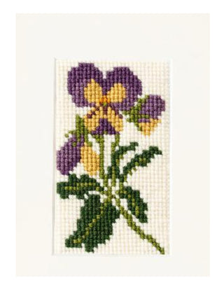 Viola Starter Kit