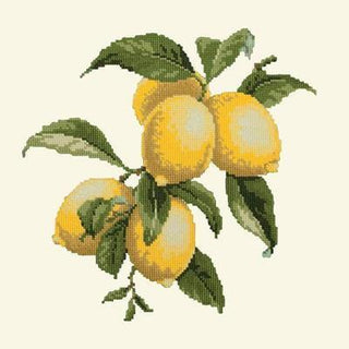 Lemons Needlepoint Kit